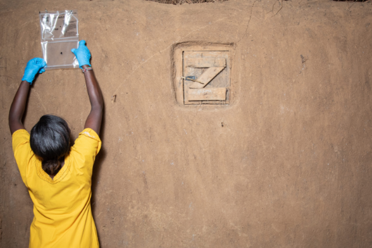 Unitaid invests US$36 million to support evidence-based scale-up of innovative malaria prevention tools